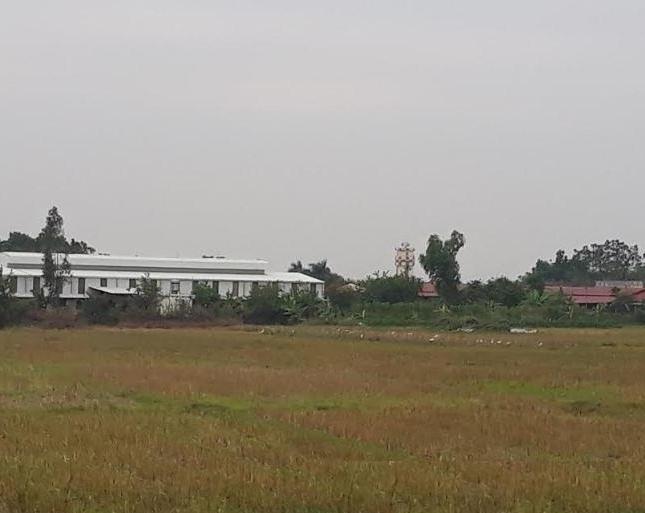Cho thuê 50.000m2 đất công nghiệp Tam Điệp, Ninh Bình, có thể thuê từng phần