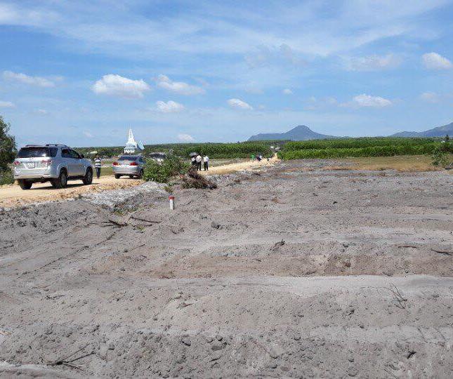 Bán đất tại Đường Hùng Vương, La Gi, Bình Thuận diện tích 1000m2 giá 310 Triệu