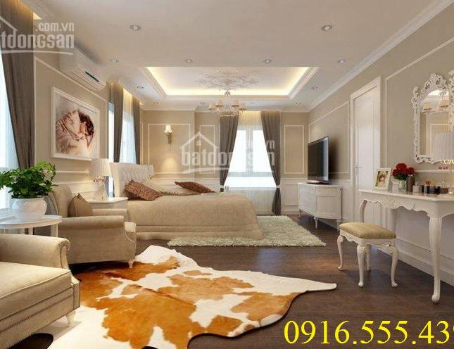 Cho thuê nhiều căn hộ The Panorama Phú Mỹ Hưng Quận 7. LH 0916.555.439