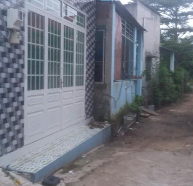Cần bán 2 căn nhà cấp 4 cạnh nhau, đường Nguyễn Xiển, Long Bình, Quận 9