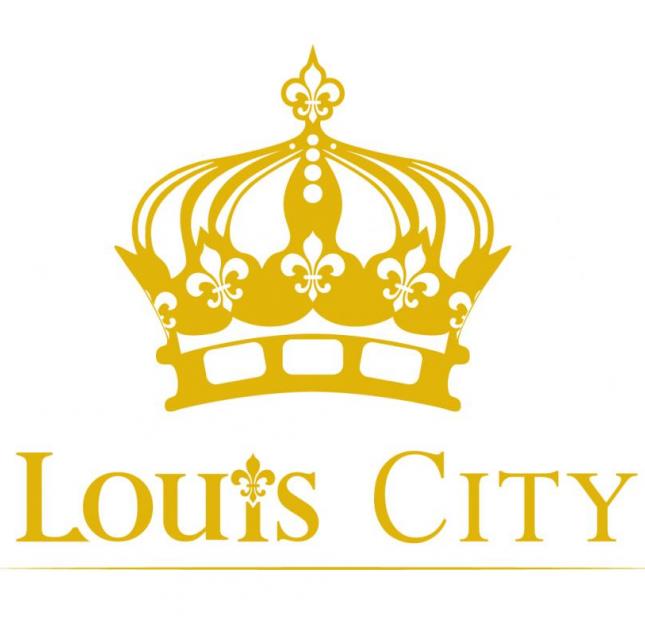Bán 2 suất ngoại giao dự án Louis City, Đại Mỗ, gía cực rẻ, liên hệ ngay
