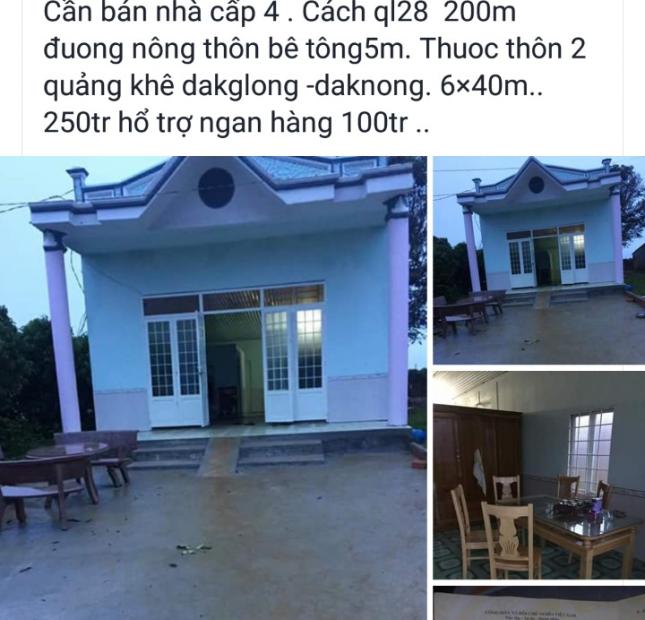Bán trang trại thôn 4, thị trấn Quảng Khê, Dăk GLong, Đắk Nông, LH: 0963251012