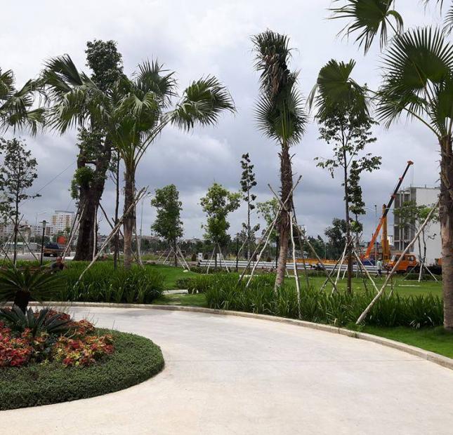 Đất nền đường Nguyễn Văn Bứa, mở bán 100 nền giá siêu hấp dẫn, sổ hồng riêng. 