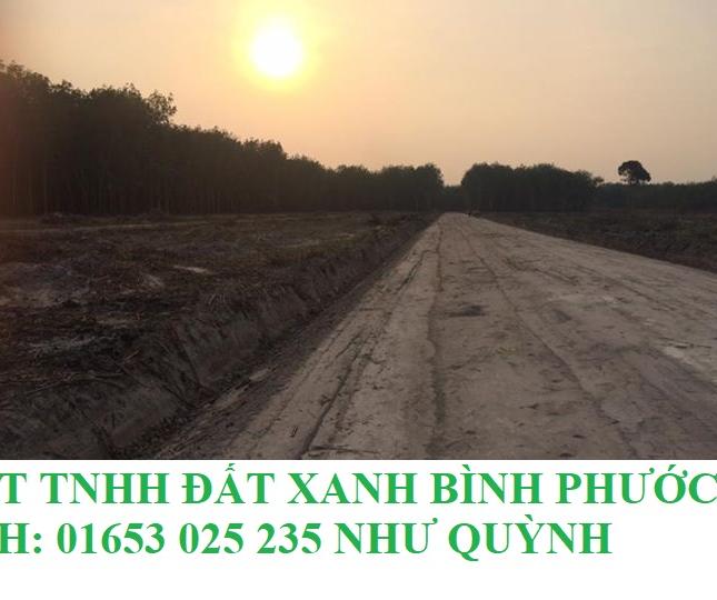 Chính thức khởi động dự án Khu công nghiệp Minh Hưng Chơn Thành Bình Phước.