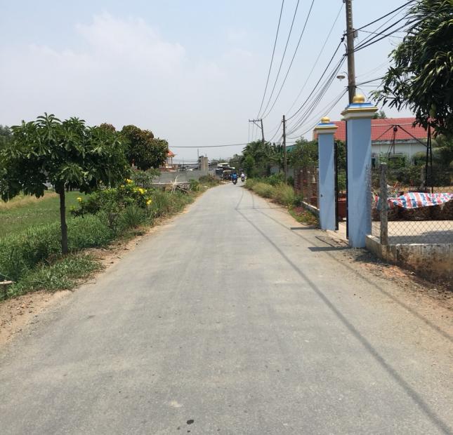 Đất mặt tiền đường Tân Liễu, xã Hưng Long, huyện Bình Chánh