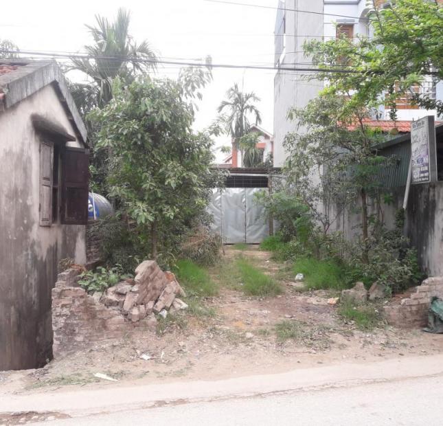 Cần bán gấp 2 mảnh đất mặt đường 422- xã Tân Lập- Đan Phượng- Hà Nội