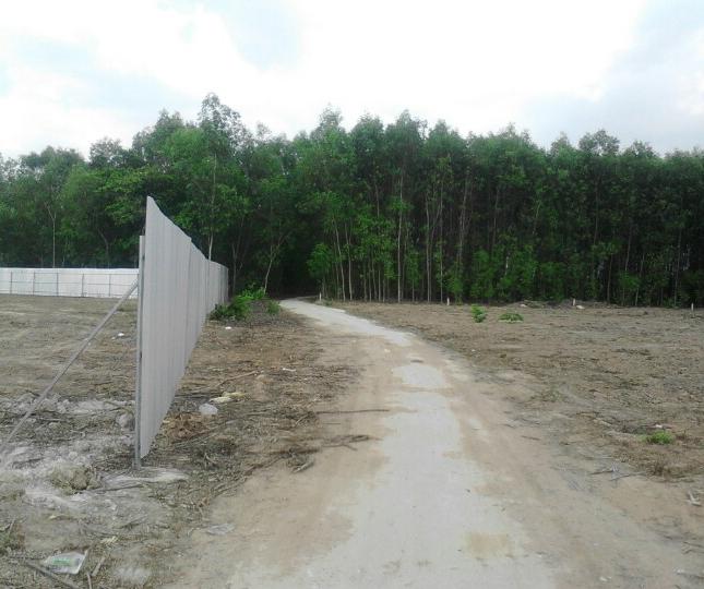 	Bán dự án Long Tân Đại Phước Residence 