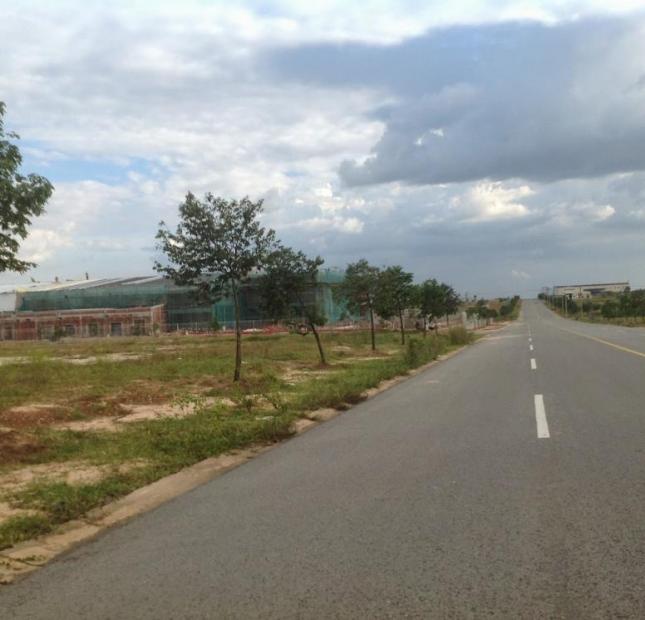 Kẹt tiền bán nhanh đất 2 mặt tiền Quang Trung, gần siêu thị Nguyễn Kim, DT 9x25m, sổ hồng riêng