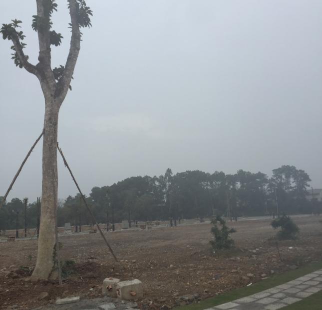 Bán đất nền Phú Cát cạnh khu công nghệ cao Hòa Lạc, Thạch Thất giá từ 10tr/m2 