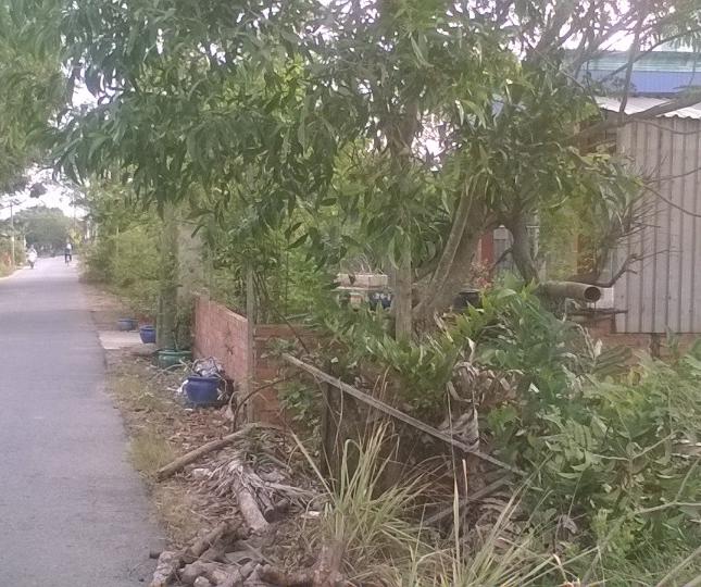 Bán đất tại Đường Nguyễn Văn Tạo, Nhà Bè,  Hồ Chí Minh diện tích 120m2  giá 3 Tỷ