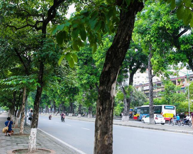 Mặt phố Trần Phú, Ba Đình, nhà to, vỉa hè rộng, 16 tỷ, 60m2, mặt tiền rộng 6m