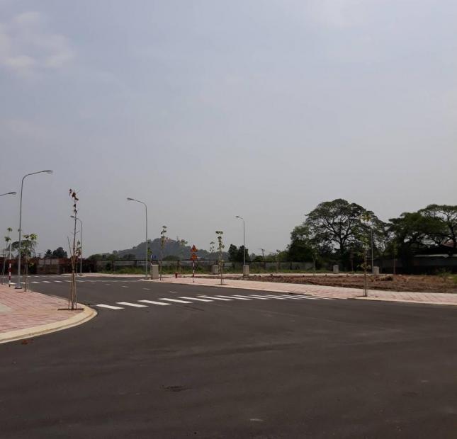 Bán đất đường Nguyễn An Ninh, Dĩ An, Bình Dương ngay Big C - Quốc Lộ 1K, đường 12m, SHR, XDTD