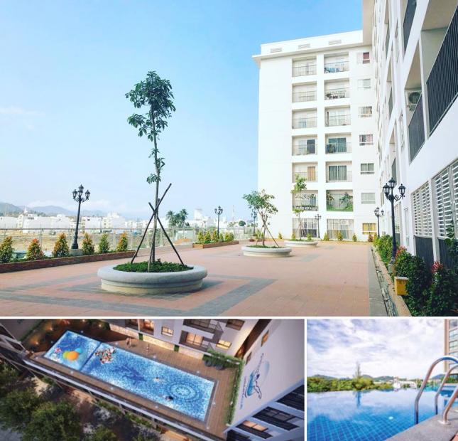 Bán căn hộ cao cấp, sổ lâu dài, vị trí đường lớn CT2 – VCN Phước Hải, Nha Trang chênh cực thấp 250tr