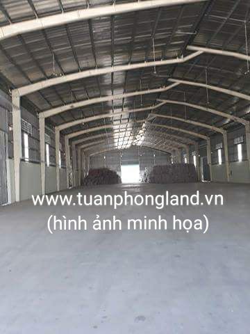Cho thuê kho xưởng 1800m2 đường Phan Văn Hớn, Phường Tân Thới Nhất, Quận 12