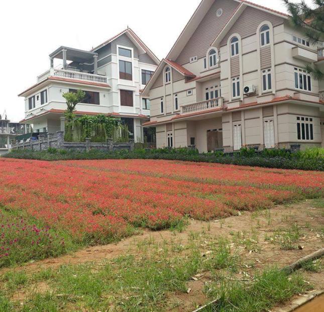 Chính Chủ bán lô 200 Đất biệt thự Sinh Thái Đan Phượng- The Phoenix Garden-Thị Trấn Phùng-Hà Nội.