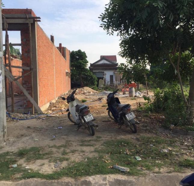 BÁN ĐẤT ĐƯỜNG 33 ( TRẦN PHÚ)