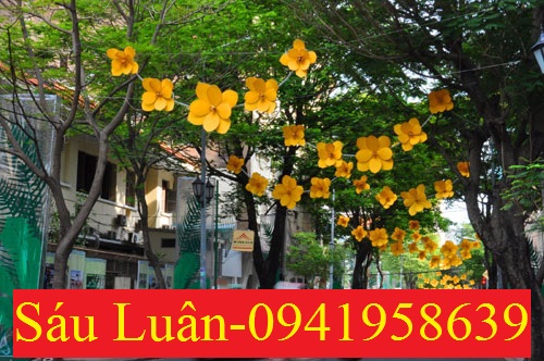 Bán nhà đẹp khu Lam Sơn
