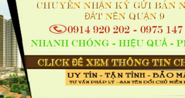 Chuyên mua bán - ký gửi đất nền quận 9 trong tuần - BDS Đất Việt