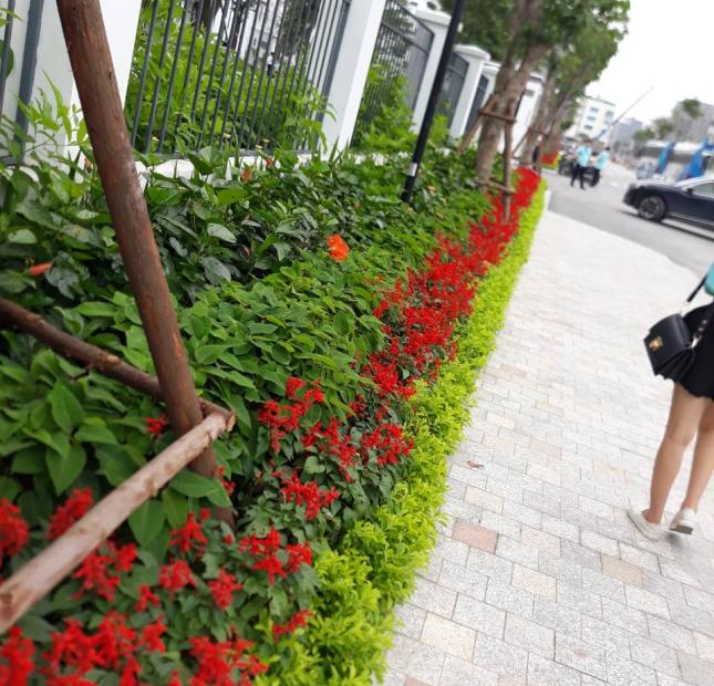 Vinhomes_Star_City_Thanh_Hóa mở bán đợt hai tiểu khu Hoa Hồng.