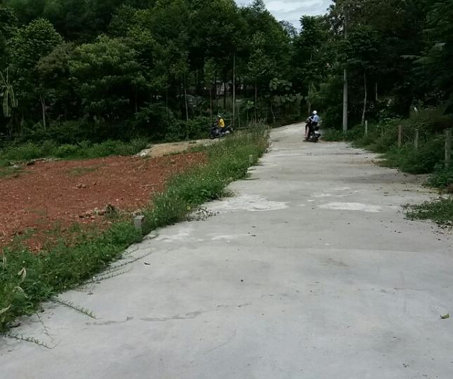 Bán đất kiệt 5m ở Thanh Hải,tp Huế 555tr