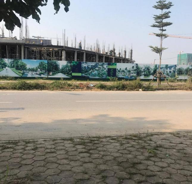 Bán suất ngoại giao lô duy nhất mặt đường Nguyễn Khuyến, Khu Hud B Trầu Cau Garden
