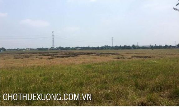 Cho thuê đất trống tại cụm CN Tam Điệp, Ninh Bình, DT 5005m2
