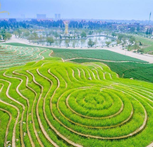 Biệt thự nhà vườn trên đồi duy nhất tại Hà Nội, 5 tỷ/200m có cả nhà