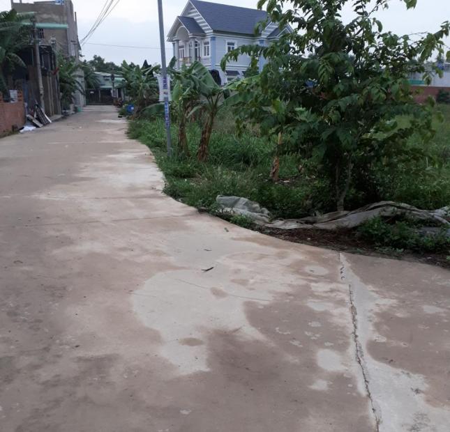 Bán đất rẻ bèo (3.6Tr/m2), Cách trường TH Phước Tân 1.5km, Biên Hòa, ĐỒng Nai