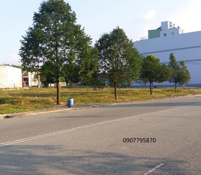 Đất xưởng, đối diện KCN Nhựt Chánh, sổ hồng riêng, 1000m2