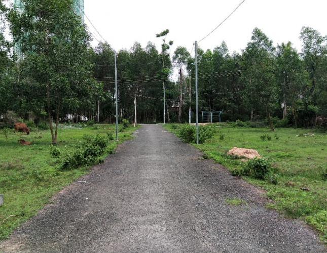 Bán đất tại Xã Long Thành, Long Thành,  Đồng Nai diện tích 190m2  giá 1.3 Tỷ