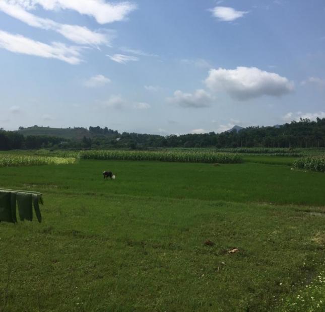 Lô đẹp view cánh đồng, giá chỉ 150 tr/sào tại Yên Bài, Ba Vì, LH 0965939976