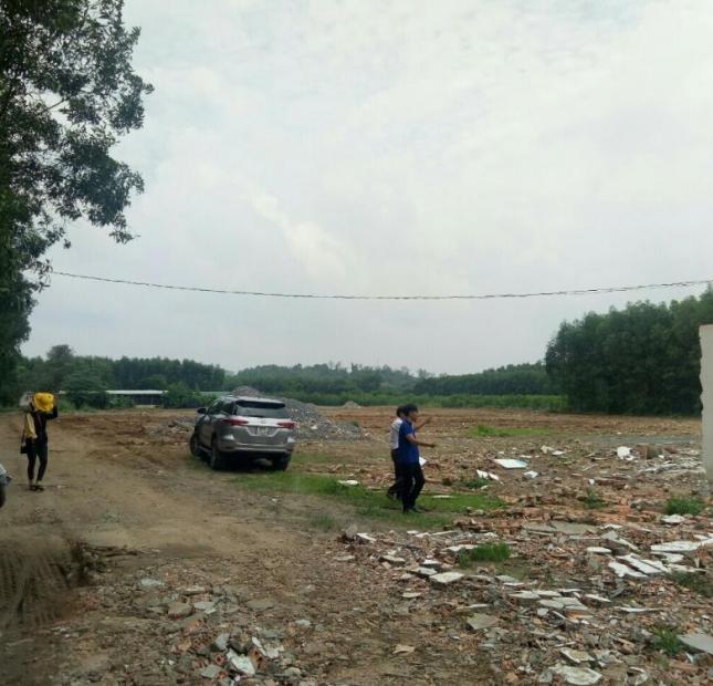 Bán đất nền dự án tại Đường ĐT 768, Vĩnh Cửu, Đồng Nai diện tích 100m2 giá 300 Triệu