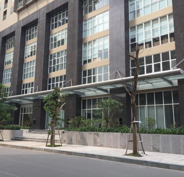 Cho thuê văn phòng 227m2 tòa nhà Vimeco Nguyễn Chánh, gần Big C Thăng Long giá rẻ
