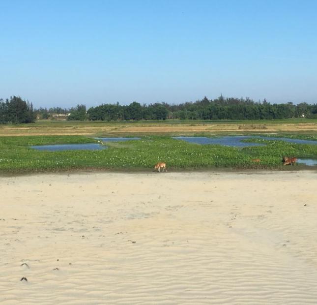 Đất nền phía Nam Đà Nẵng, cạnh Cocobay, giá rẻ cam kết sinh lời cao