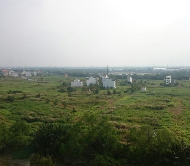 Đất nền 13A Hồng Quang, gần Q8, mặt tiền đường 12m, 130m2, đối diện công viên, giá 23tr/m2