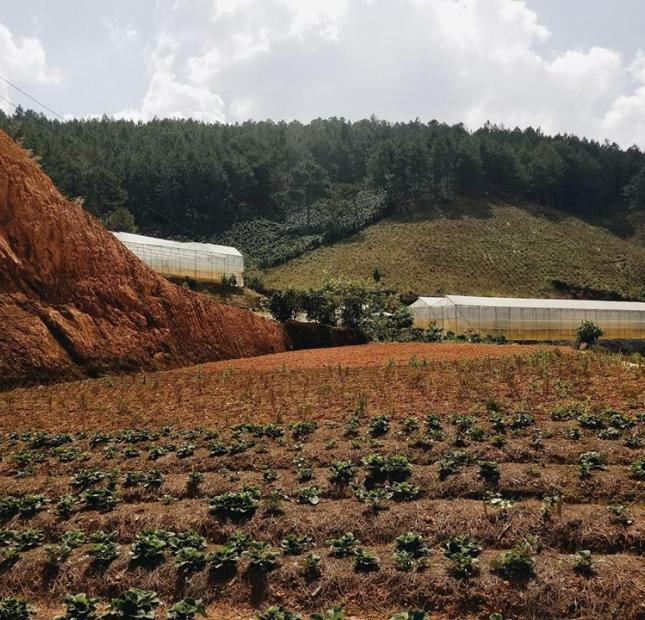 500m2 đất nông nghiệp chỉ 2 tỉ xxx ngay khu du lịch thác Cam Ly, phường 4, tp đà lạt – smartland