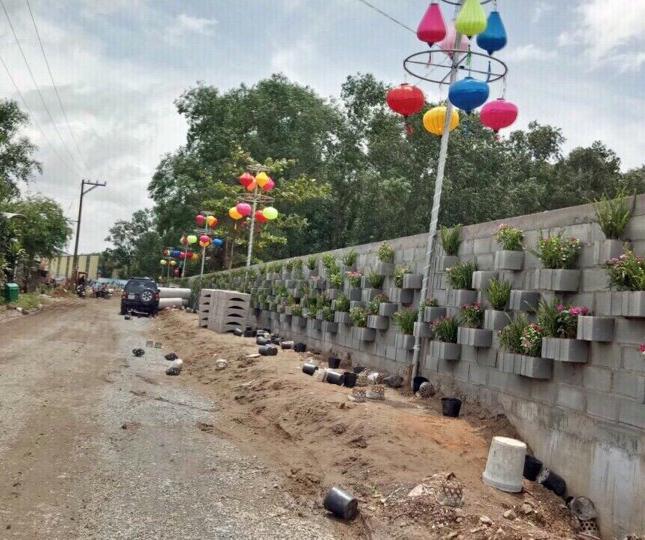 Cát Tường mở bán khu dân cư Cát Tường Phú Bình - Bình Chuẩn 31 - Thị xã Thuận An - Bình Dương