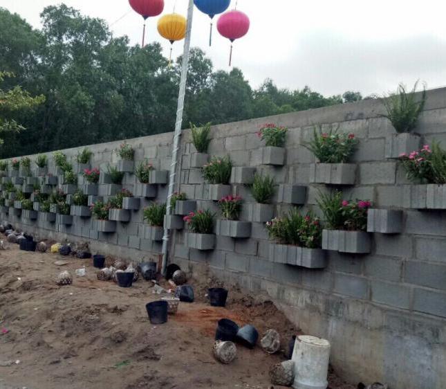 Cát Tường mở bán KDC Cát Tường Phú Bình - Bình Chuẩn 31 - thị xã Thuận An - Bình Dương