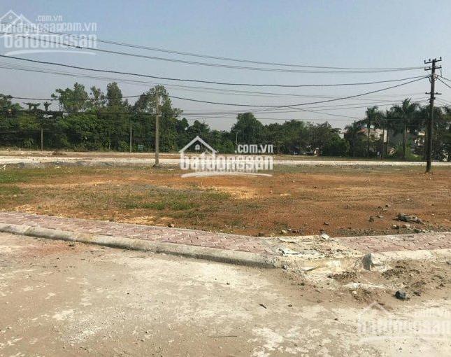 Bán đất đấu giá đã có sổ đỏ chính chủ tại thôn Dư Dụ, xã Thanh Thùy, Huyện Thanh Oai