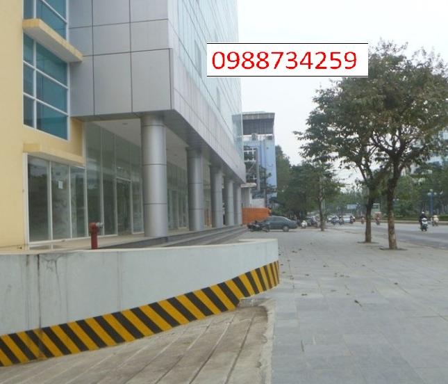 CDT cho thuê văn phòng tại toà nhà An Phú Hoàng Quốc Việt, Cầu Giấy
