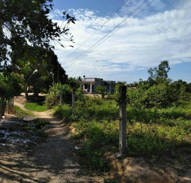 Bán đất gần UBND xã Suối Tân, Cam Lâm. Diện tích 1820m2