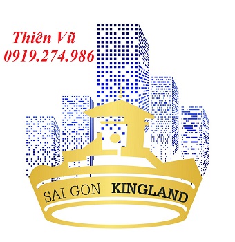 Cần tiền kinh doanh, cần bán gấp gấp căn nhà khu biệt thự Tô Hiến Thành, P13, Quận 10