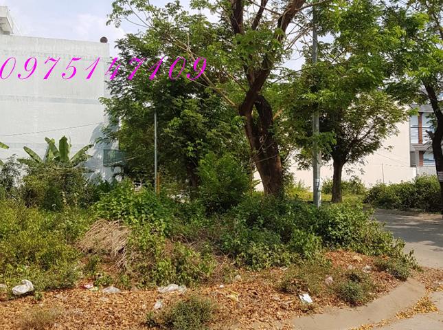Cần bán đất vườn đường long thuận, phường Long Phước, Quận 9, hẻm 6m, diện tích 30x62m