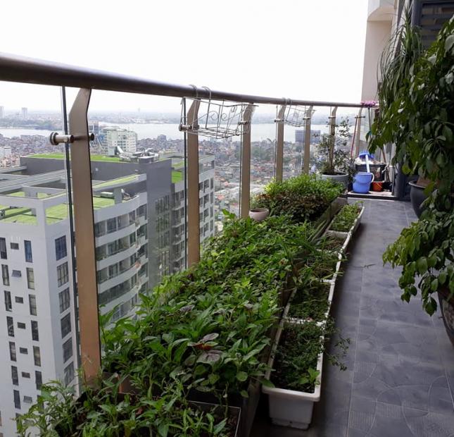 Bán căn hộ CC cao cấp Tràng An Complex Phùng Chí Kiên, 245m2, view hồ Tây, giá 11,6 tỷ
