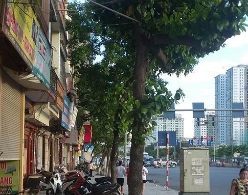 Cho thuê 1 tầng nhà mặt phố đường Giải Phóng, quận Hoàng Mai, tiện kinh doanh