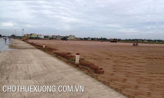 Bán đất tại Ninh Giang,  Hải Dương diện tích 36505m2  giá 14 Tỷ
