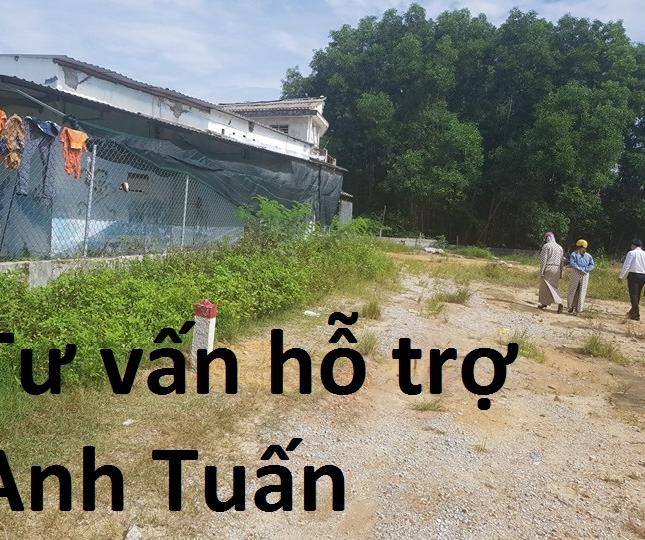 Nhanh tay liên hệ ngay để sở hữu các lô đất giá rẻ ở đường Nguyễn Hữu Cảnh, LH sớm ưu tiên lựa chọn