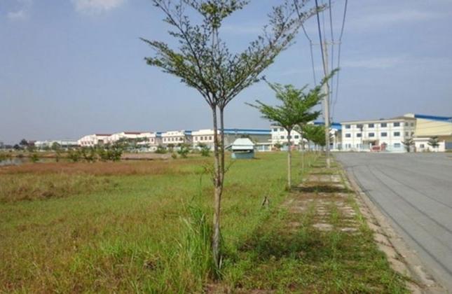 Mở bán đất nền phân lô tại Long Thành , tỉnh Đồng Nai siêu hót