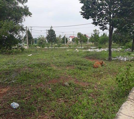 Chính chủ cần bán gấp đất xã Phước Bình, Đồng Nai 2 -3 triệu/m2
