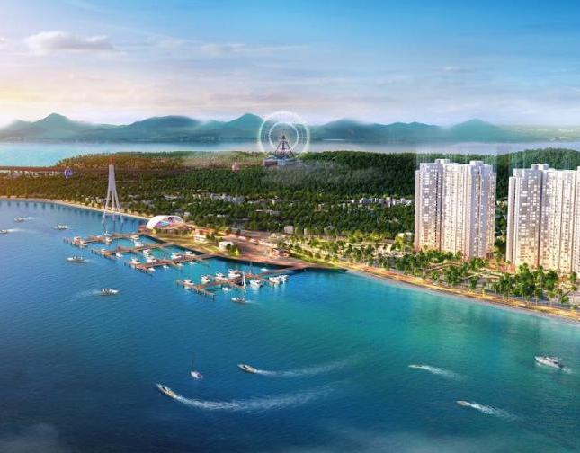 Ưu đãi cực lớn tại dự án chung cư Doji, số 1 Bến Đoan, TP Hạ Long